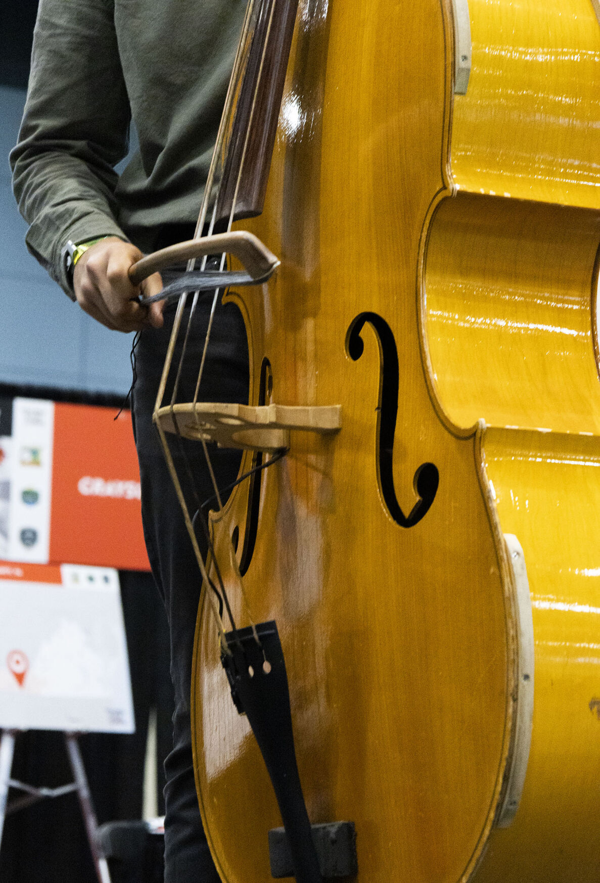 Hungarian students at IBMA